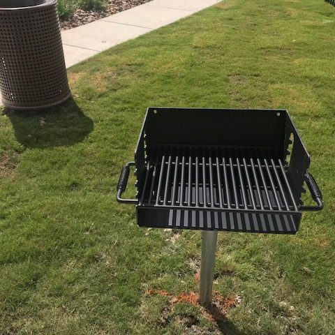 grill(reduced)